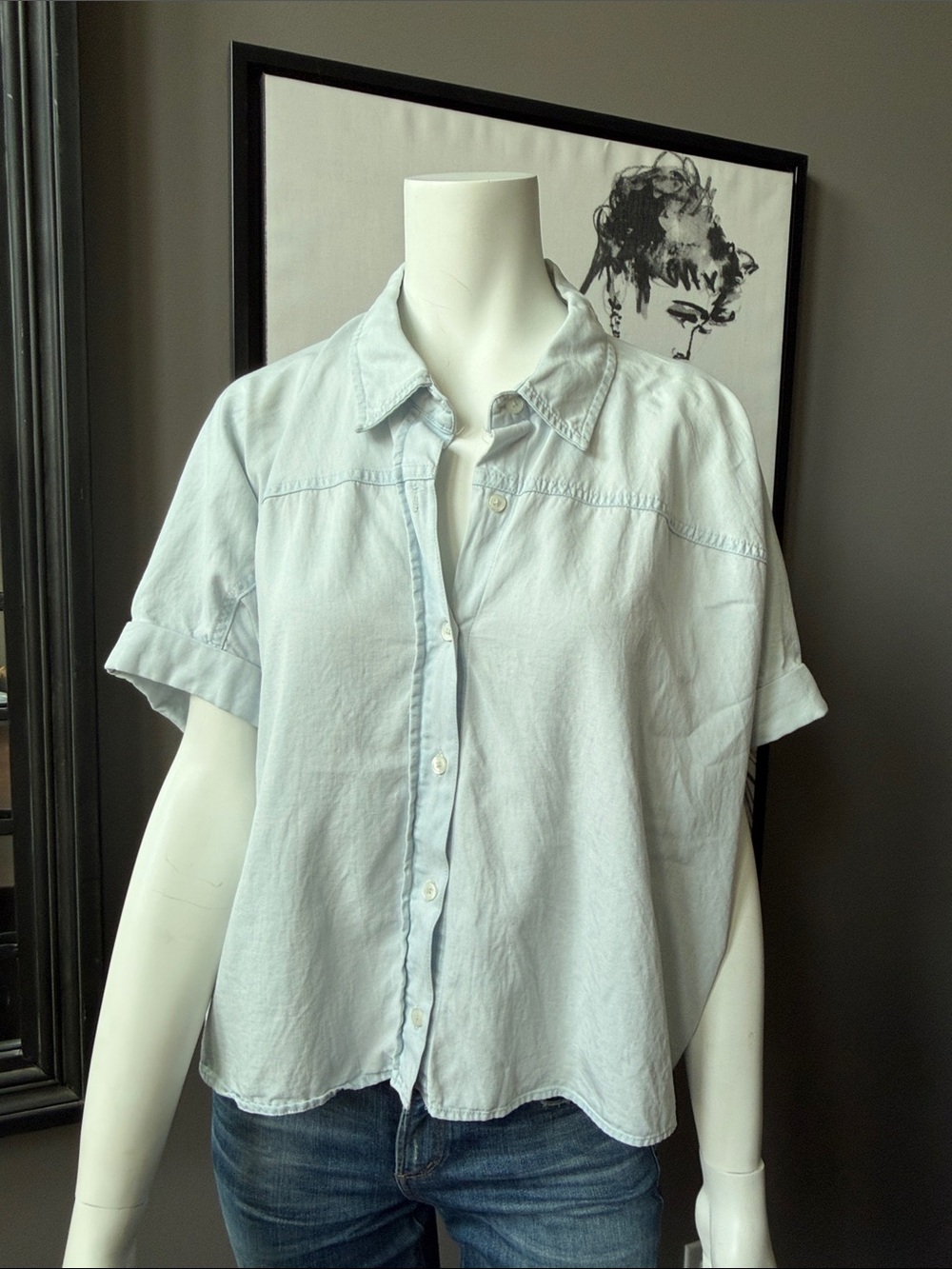 Zara Pale Blue Short-Sleeve Button-Front Shirt Cropped